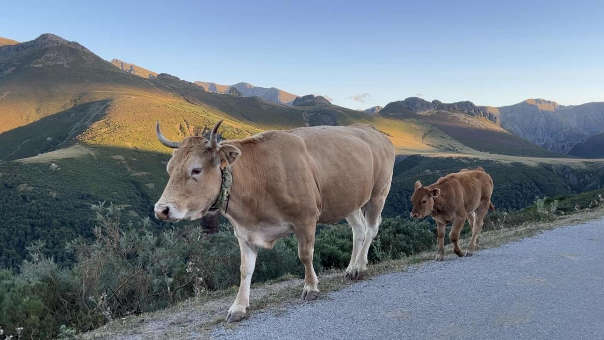Posada La Trebede Perrozo Εξωτερικό φωτογραφία